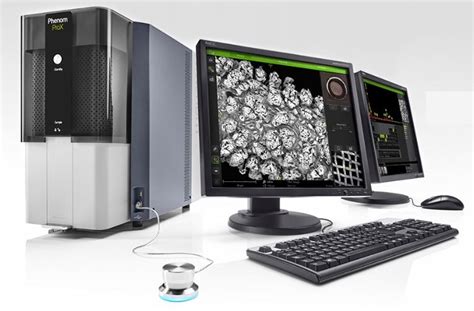 desktop scanning electron microscope|Phenom Desktop Scanning Electron Microscopes .